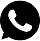 whatsapp icon